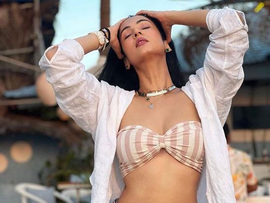 Vivacious Poses Of Sonal Chauhan